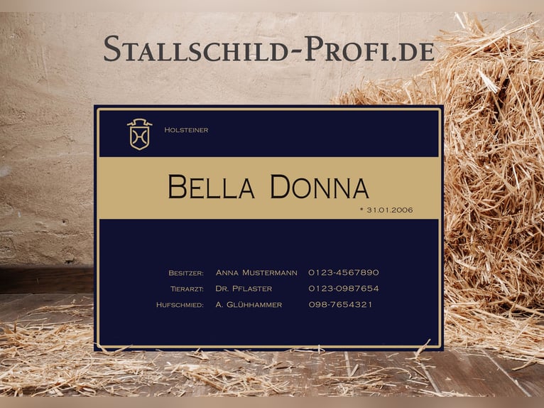 Tu placa de box personalizada para tu caballo: crea la tuya propia o déjala en manos de un profesion