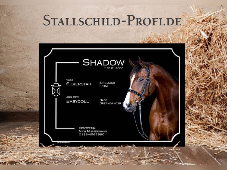 Tu placa de box personalizada para tu caballo: crea la tuya propia o déjala en manos de un profesion