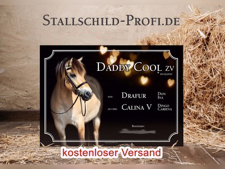 Tu placa de box personalizada para tu caballo: crea la tuya propia o déjala en manos de un profesion