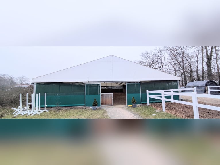 Carpa de lona de 15x30 m para vender, ideal como tienda de equitación, almacén o carpa para eventos.