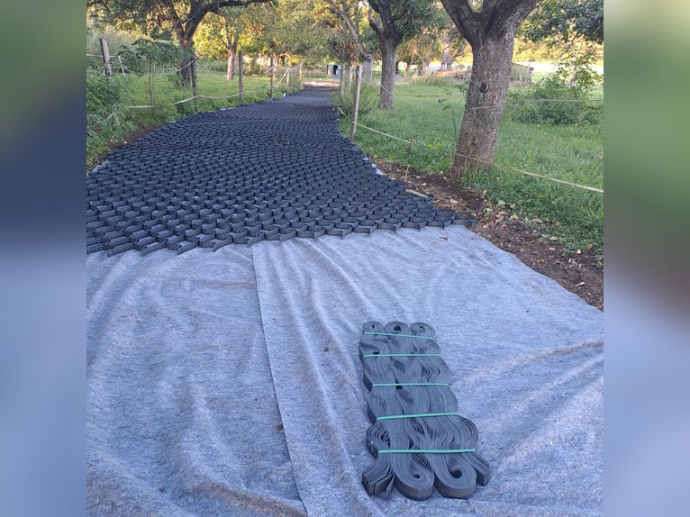 Placas de suelo para paddock, tapetes para paddock, vallas para paddock