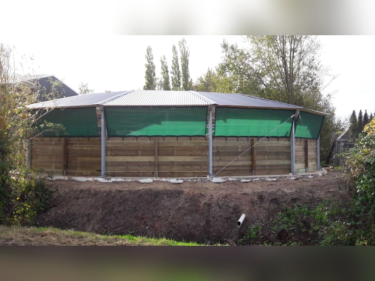 Sistema de manejo, caminador para caballos, caminador de caballos, marcha de caballos, sistema de ma