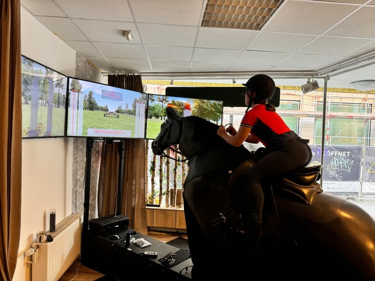 *TOP* Reitsimulator - Racewood Eventing simulator - Dressur , Springen & Vielseitigkeit