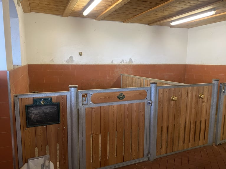 Vendo estabulación completa RÖWER & RÜBER (12 boxes) + solarium para caballos
