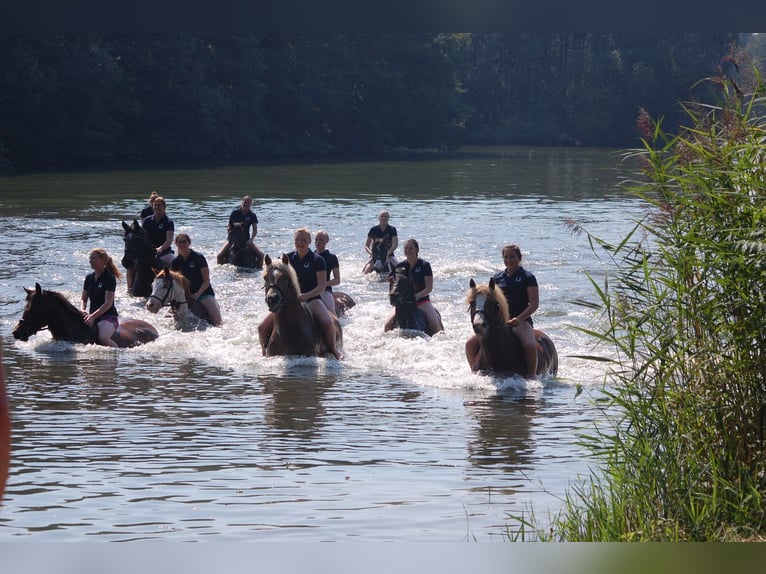 Apartamentos vacacionales en una magnífica zona ecuestre, justo junto al lago privado de la propieda