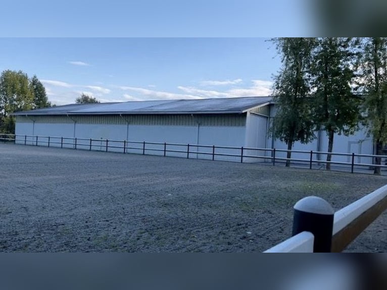 Aprende a montar a caballo al más alto nivel, en el lugar donde otros disfrutan de sus vacaciones.