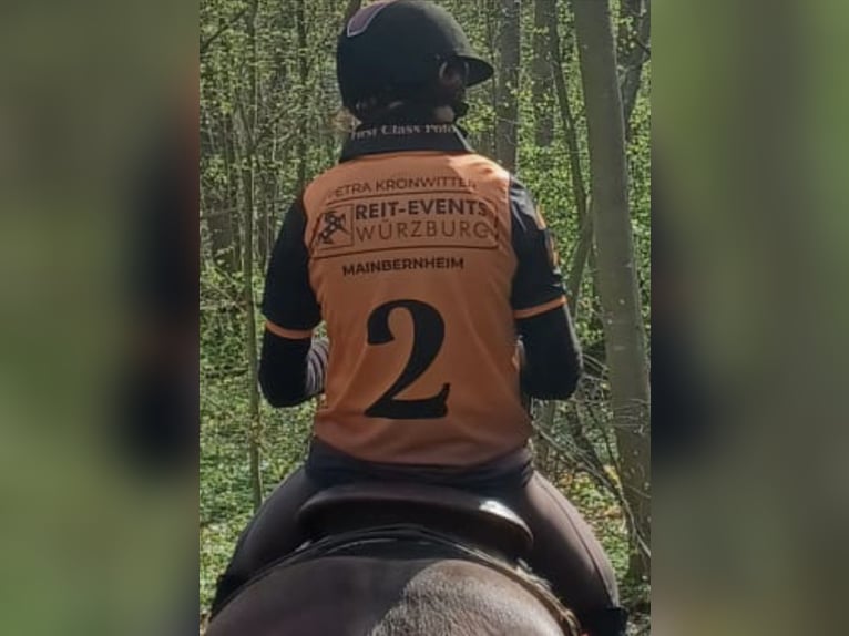 cross-country courses for beginner in Bavaria