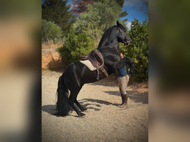 Días intensivos con Josephine Cyr en Martina Franca, Italia