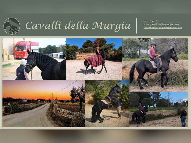 Días intensivos con Josephine Cyr en Martina Franca, Italia