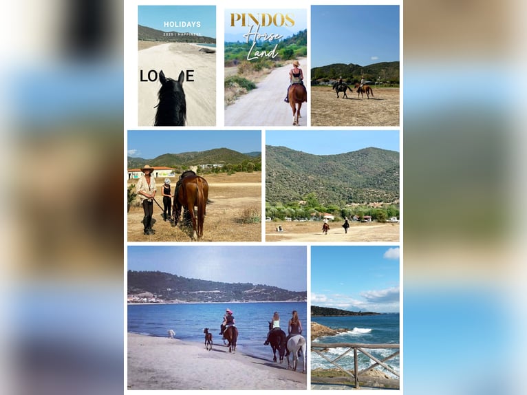 Paseo a caballo y vacaciones junto al mar para solteros o amigos. Máximo 2 personas. PindosHorseLand