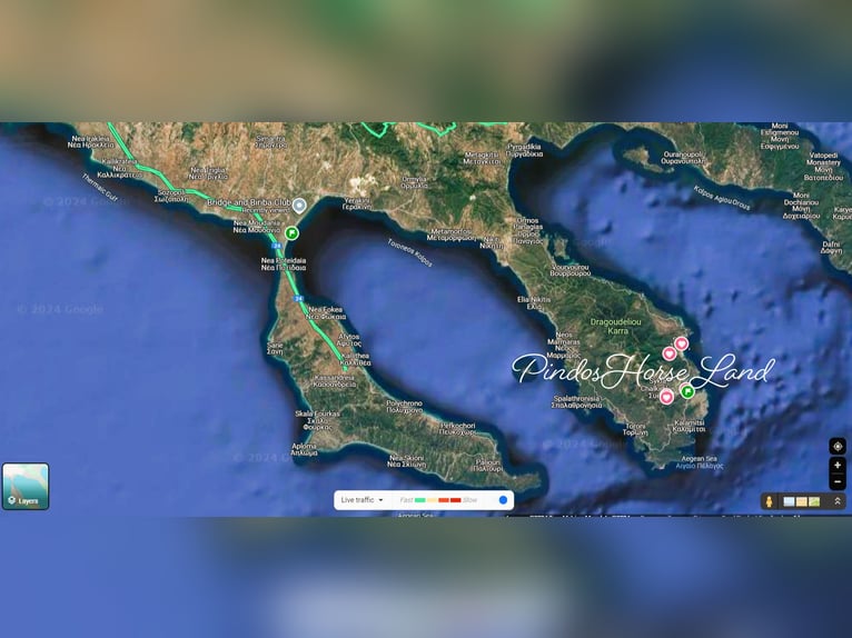 Paseo a caballo y vacaciones junto al mar para solteros o amigos. Máximo 2 personas. PindosHorseLand