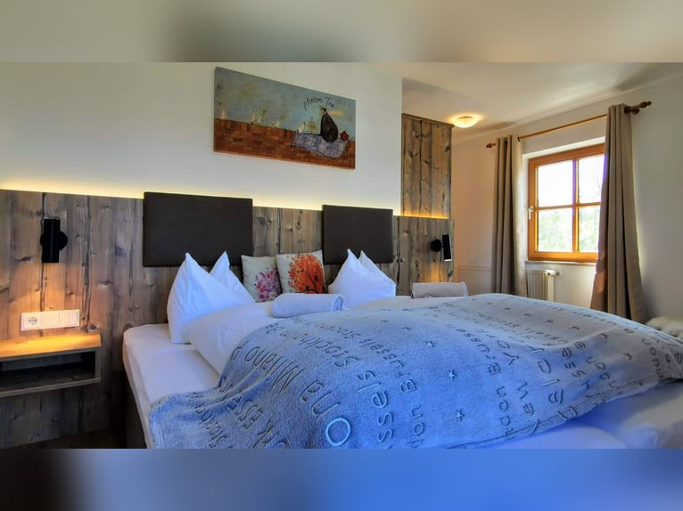 Urlaub mit Deinem eigenen Pferd