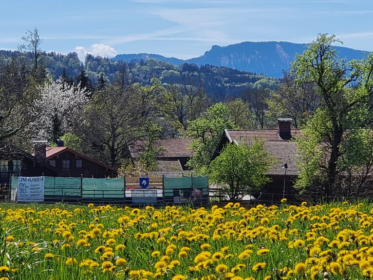 Urlaub mit Deinem eigenen Pferd