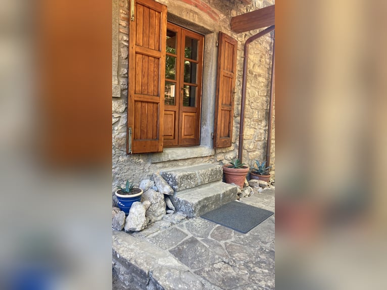 Vacaciones de equitación en Toscana