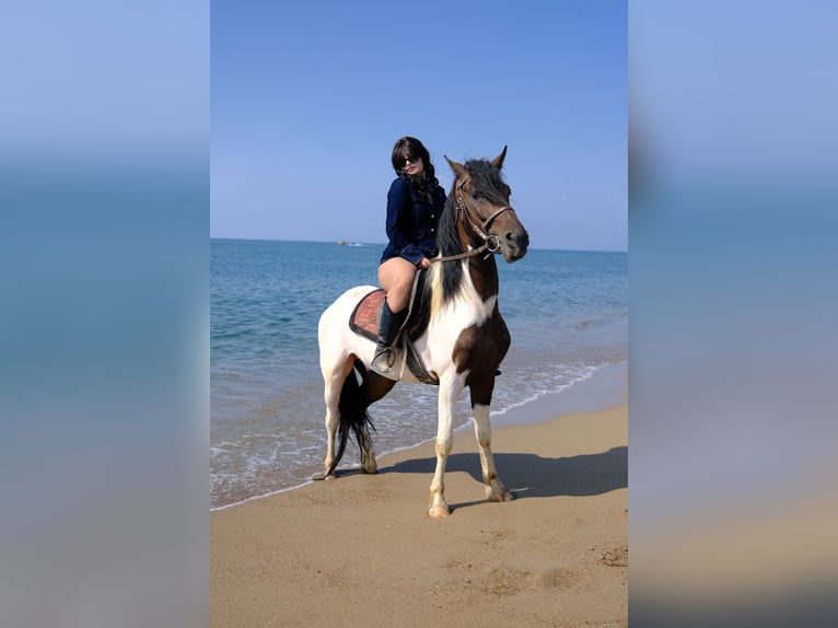 Paseo a caballo por la playa en Antalya