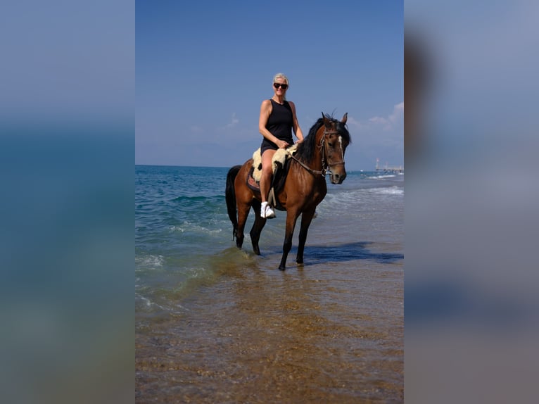 Paseo a caballo por la playa en Antalya