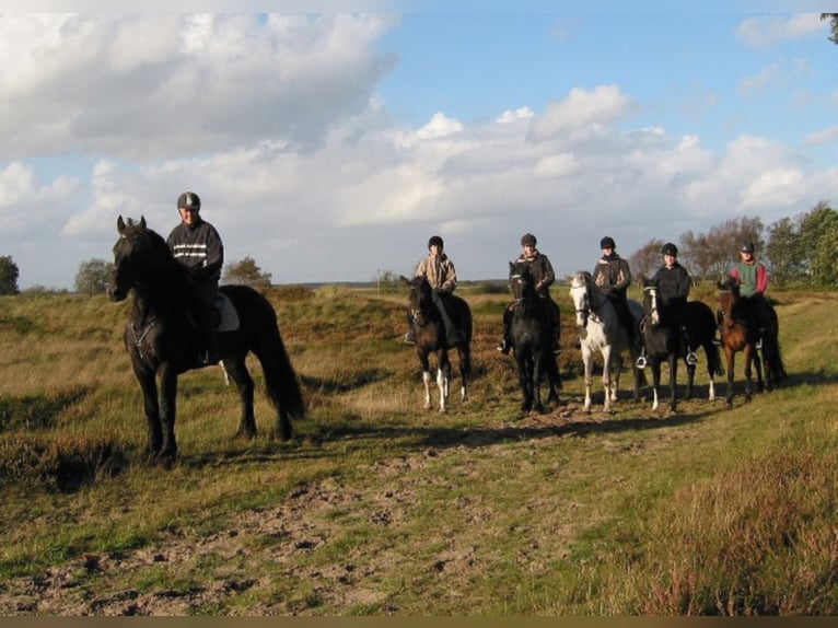 Vacaciones ecuestres