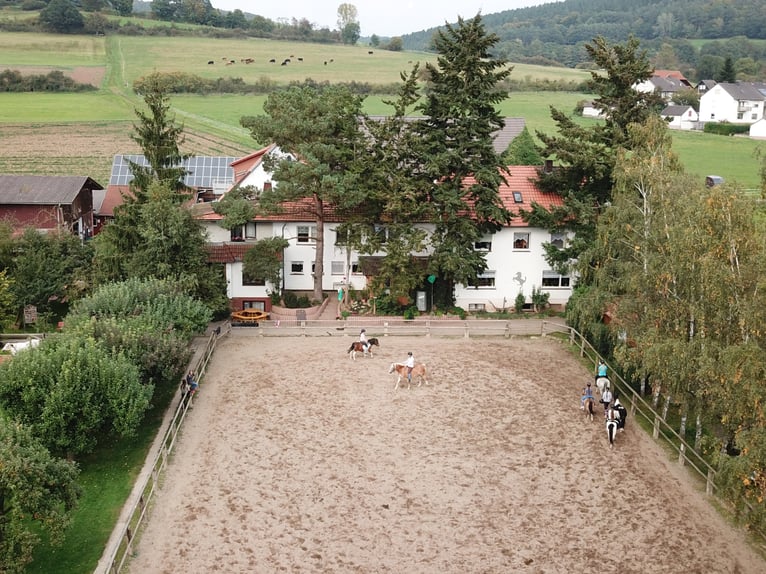 Vacaciones ecuestres y apartamentos vacacionales en el valle del Eder – Paraíso ecuestre Talhof
