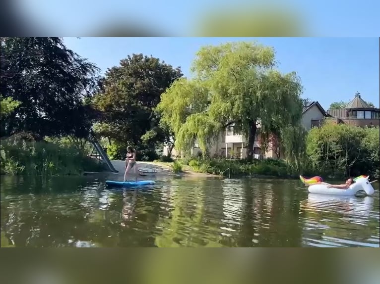 Neue Ferienwohnungen direkt am Wasser mit tollen Reitgelände - auch mit Gastboxen