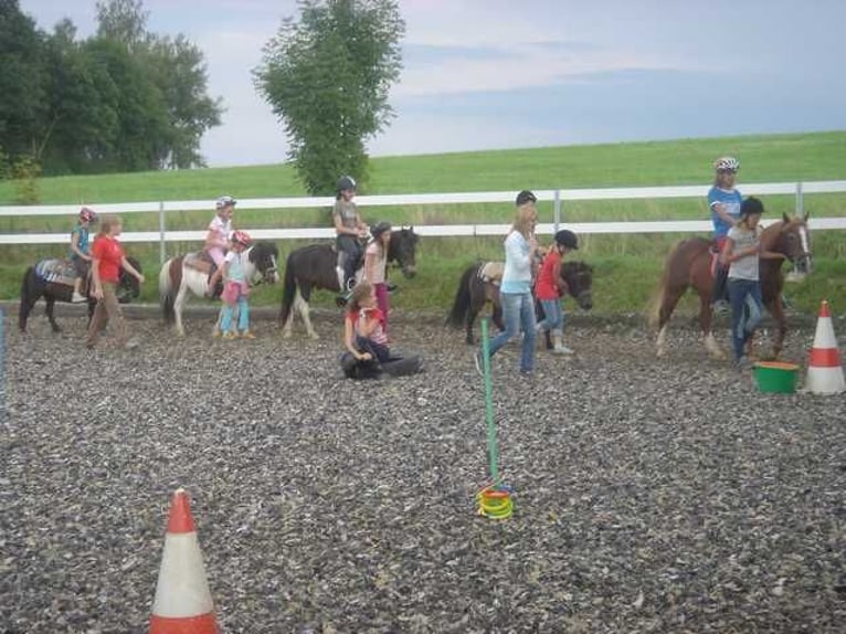 Campamentos ecuestres, vacaciones a caballo, campamentos de jinete, actividades ecuestres durante Pe