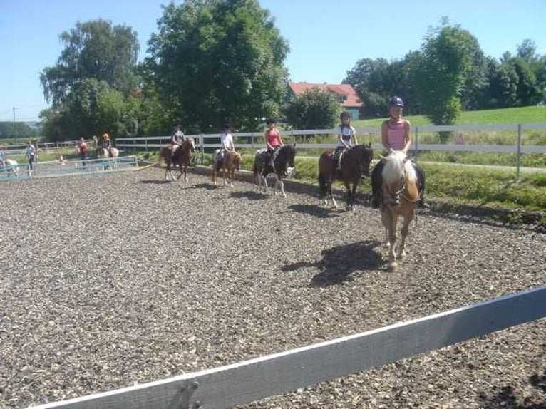 Campamentos ecuestres, vacaciones a caballo, campamentos de jinete, actividades ecuestres durante Pe