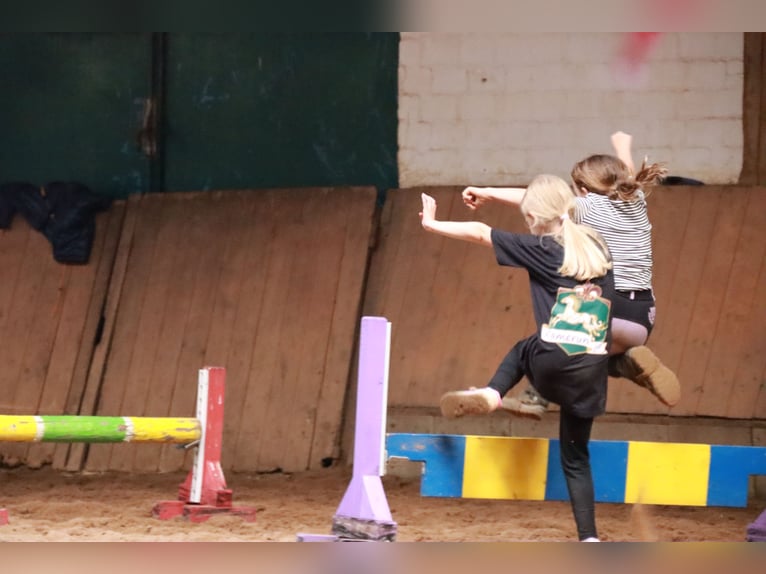 Reiterferien auf dem Reiterhof Lüneburger Heide