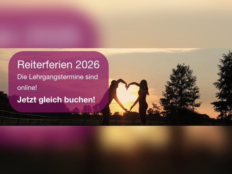 Reiterferien in Gütersloh - Reitschule Birkenhof 