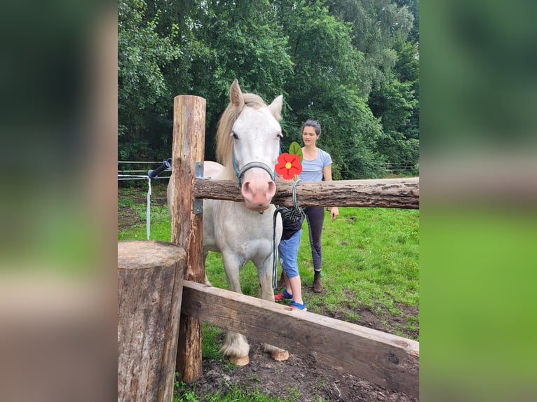 Reittherapie für Kinder und Erwachsene