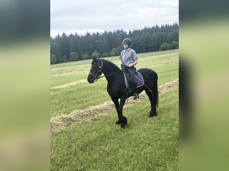 🐣 ¡Última hora: tu propio caballo durante las vacaciones de Semana Santa! 🐴