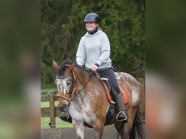 🐣 ¡Última hora: tu propio caballo durante las vacaciones de Semana Santa! 🐴