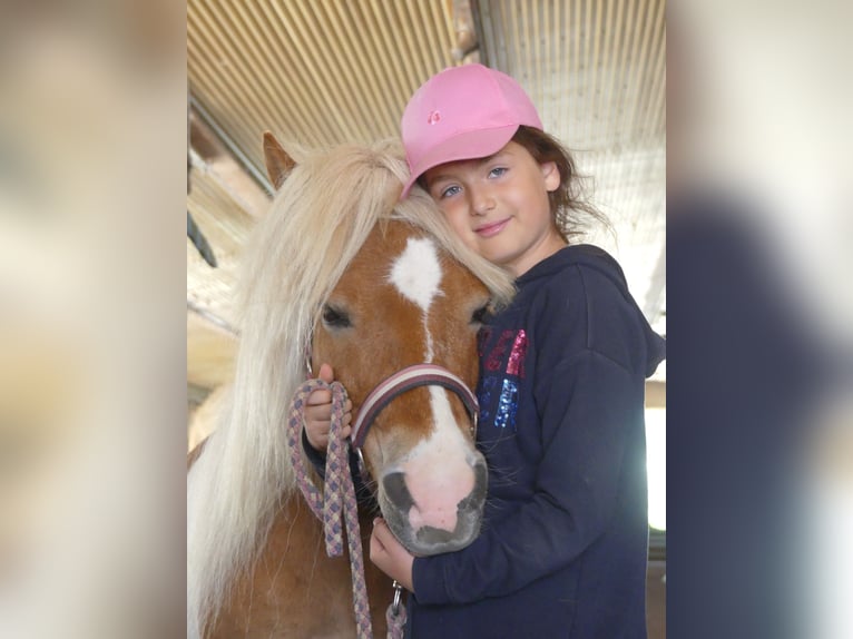 🐣 ¡Última hora: tu propio caballo durante las vacaciones de Semana Santa! 🐴