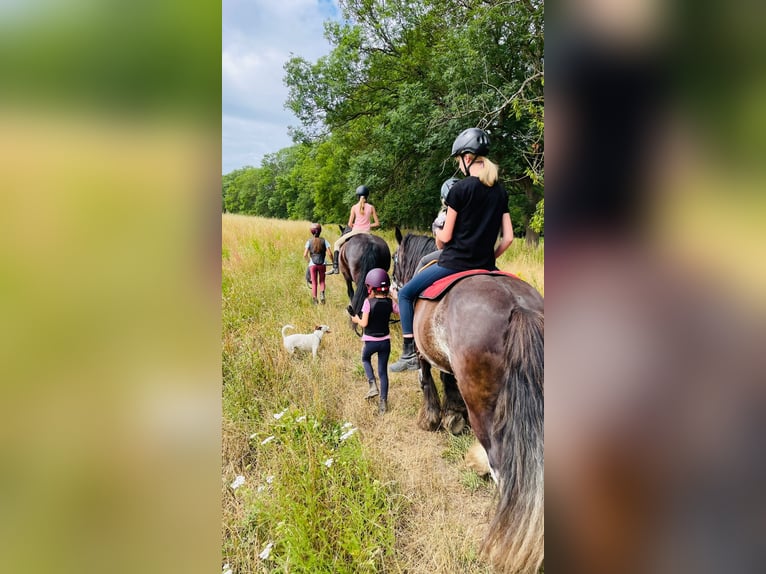 Vacaciones de verano para montar a caballo