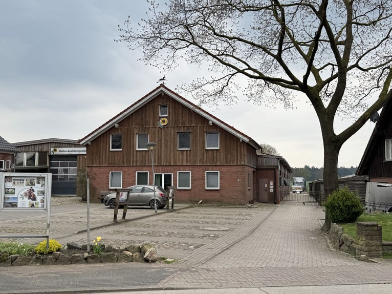 Vacaciones ecuestres para niños en el brezal de Lüneburger Heide