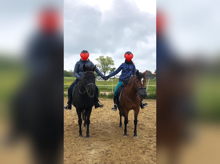 Reiterferien für Mädchen ab 10. Unsere Termine für 2026 sind online, wir freuen uns auf euch. 