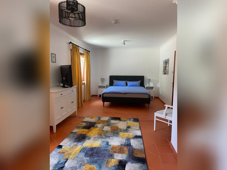 Reiterurlaub exklusiv auf unserem Lusitanogestüt 