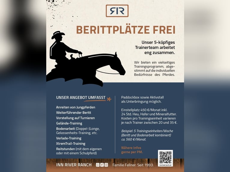 Appaloosa Gelding 4 years 14.2 hh  in Neukirchen an der Enknach