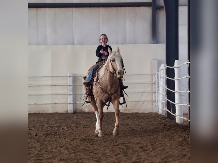 Appaloosa Gelding 9 years 14,3 hh Palomino in Corsica, SD