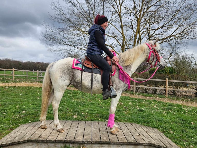 Appaloosa Giumenta 14 Anni 148 cm Pezzato in Linkenbach