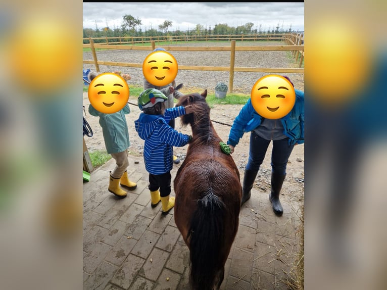 Appaloosa Jument 9 Ans 85 cm Bai in Jarmen