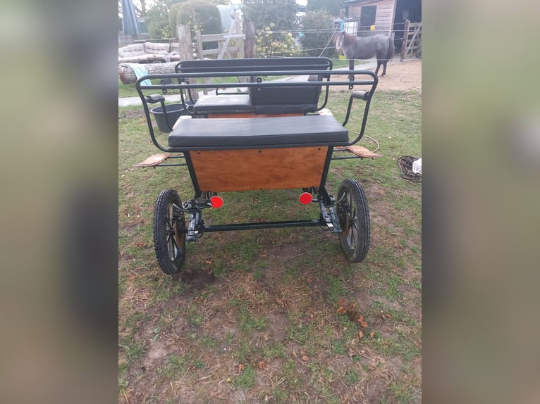 Appaloosa Klacz 25 lat 99 cm Tarantowata in Vremde Appaloosa Klacz 25 lat 99 cm Tarantowata in Vremde