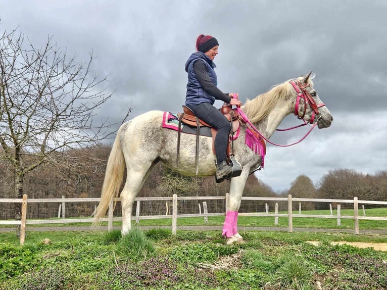 Appaloosa Mare 14 years 14,2 hh Pinto in Linkenbach