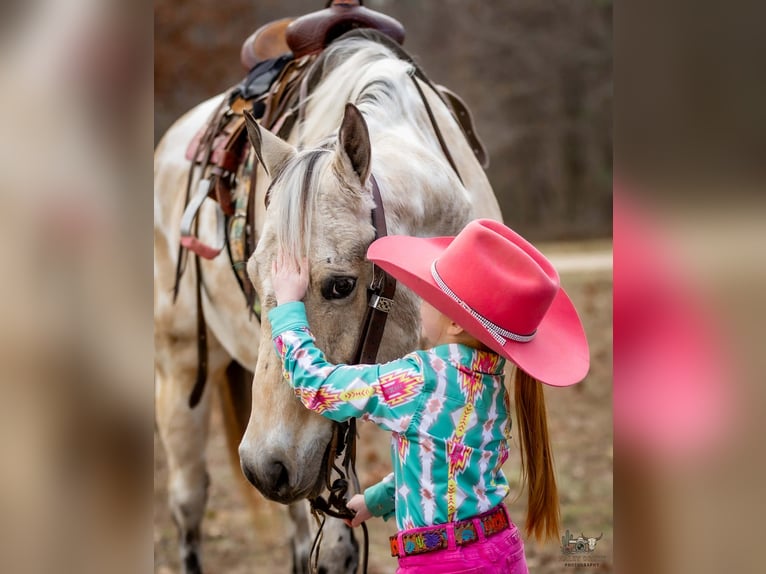 Appaloosa Ruin 7 Jaar 150 cm Buckskin in Auburn