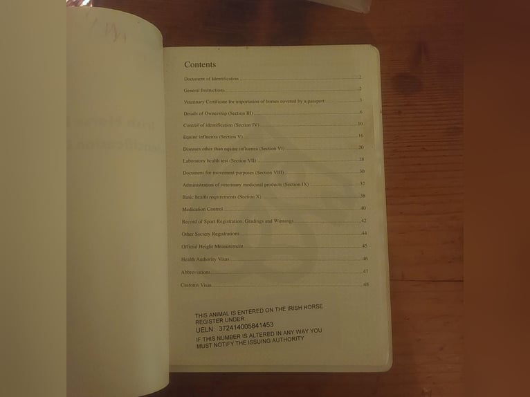 Appaloosa Wałach 15 lat 163 cm in Nastätten