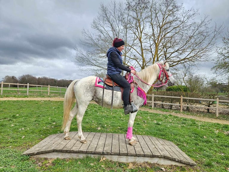 Appaloosa Yegua 14 años 148 cm Pío in Linkenbach