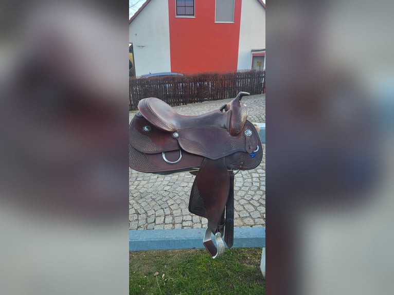 Arabisch Partbred Mix Ruin 6 Jaar 153 cm Bruin in Ulrichstein