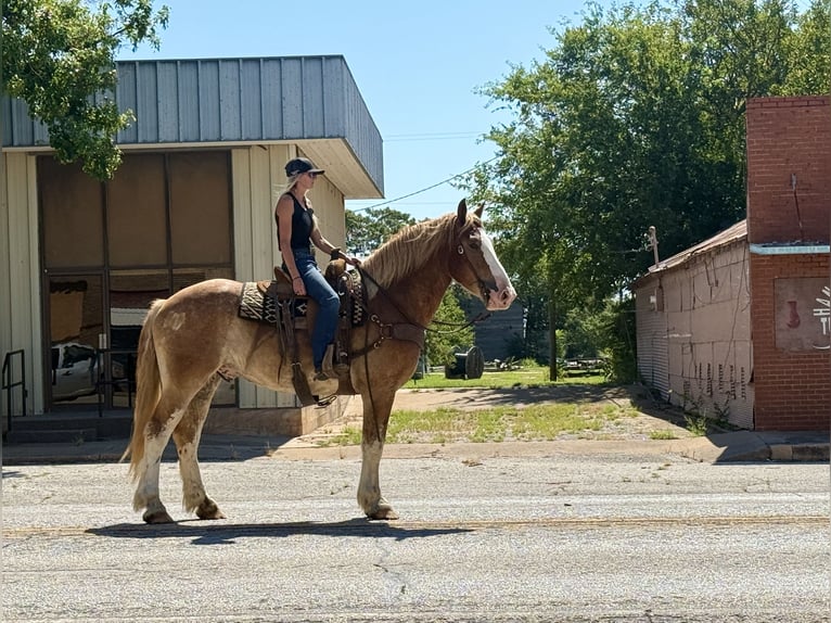 Arbeitspferd Mix Wallach 4 Jahre 173 cm Rotfuchs in Jacksboro