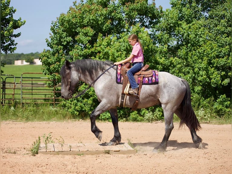 Arbeitspferd Mix Wallach 6 Jahre 168 cm Roan-Blue in Lufkin, TX