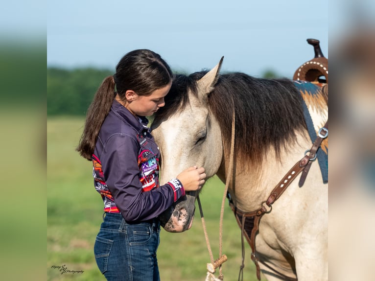 Arbeitspferd Mix Wallach 6 Jahre Buckskin in Rockville