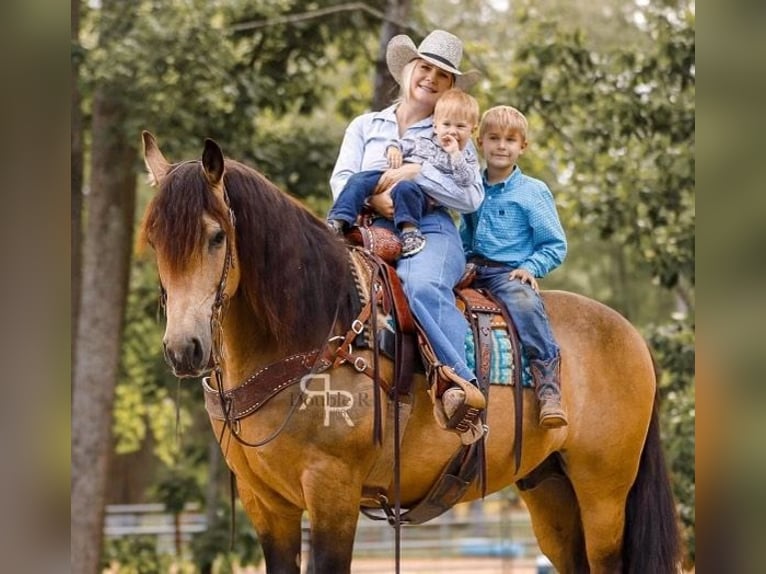 Arbeitspferd Mix Wallach 9 Jahre 157 cm Buckskin in Lyles