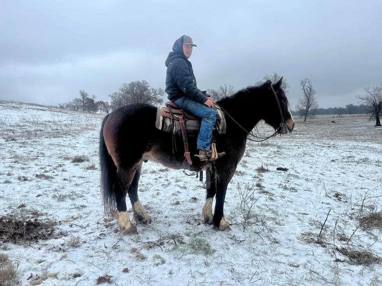 Arbeitspferd Mix Wallach 9 Jahre Rotbrauner in Watson, OK